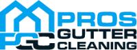 Pros Gutter Cleaning image 2